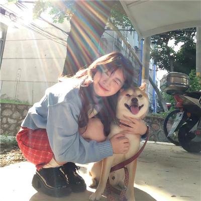 喜羊羊与灰太狼之开心闯龙年